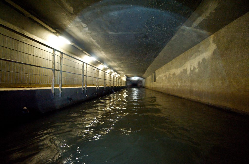 Journée mondiale de l'eau au Musée des Égouts, Wereld Water Dag Riolenmuseum